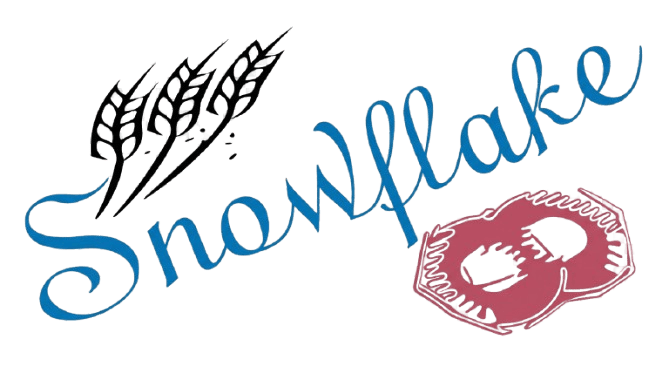 Snowflake Donuts